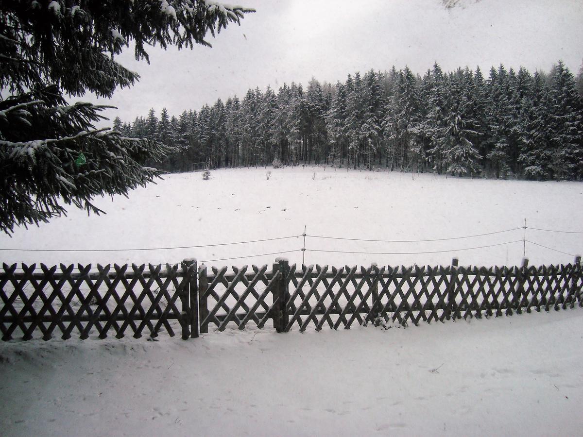 Ferienhaus Beja Winterberg Exterior foto