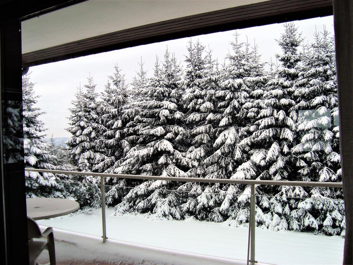 Ferienhaus Beja Winterberg Exterior foto